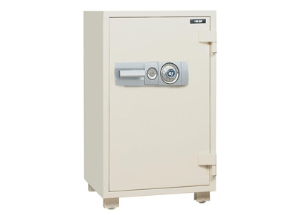 Dia Safe : DS-100